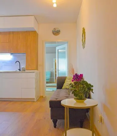 Miloia-timisoara Timisoara