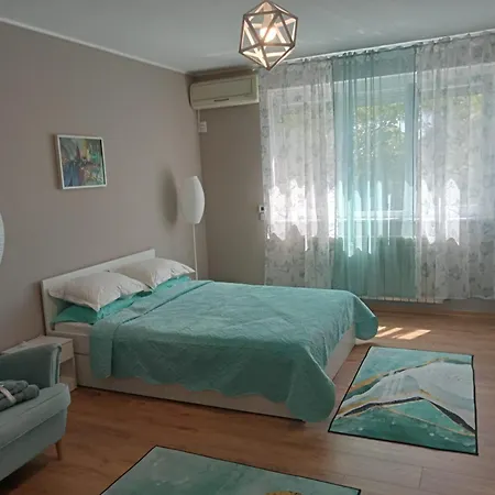Miloia-timisoara