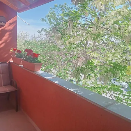 Appartement Miloia-timisoara *
