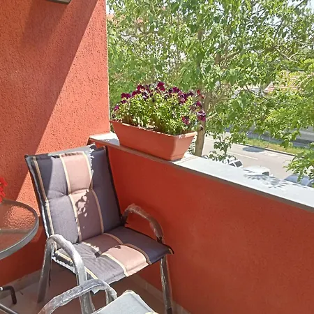 Miloia-timisoara Appartement *