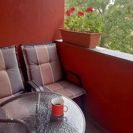 Miloia-timisoara *