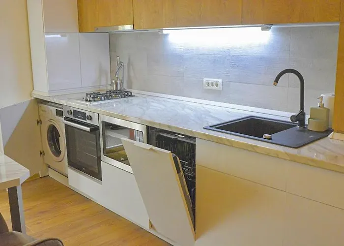 Apartment Miloia-timisoara *