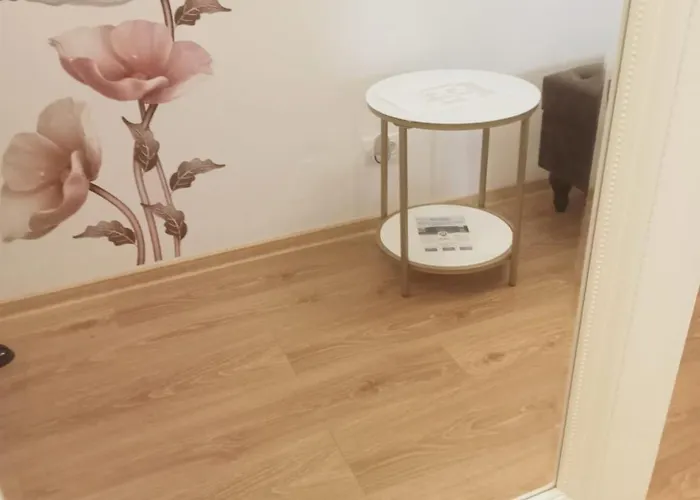 Miloia-timisoara * Timişoara