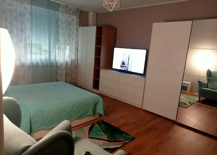 Miloia-timisoara Apartament