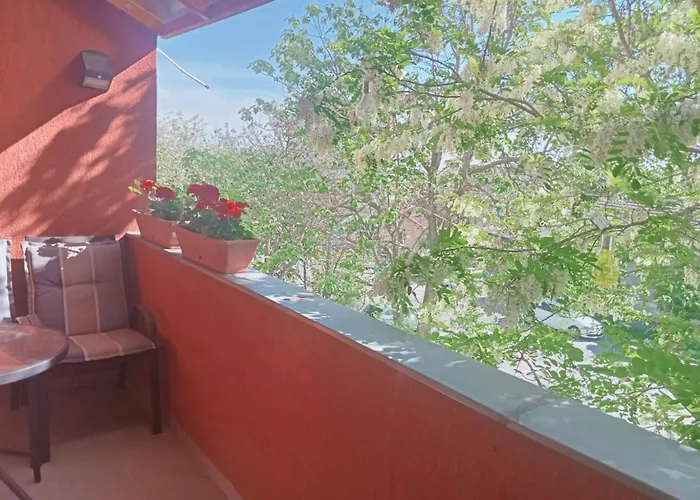 Apartament Miloia-timisoara *